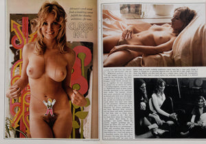 Vintage 1970's PLAYBOY Magazine - February 1973