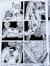 Load image into Gallery viewer, Mike Diana &#39;Boiled Angel&#39; #4 - Zine
